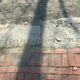 Witch Trial Memorial (Peter Crowley)